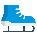 Skater Logo